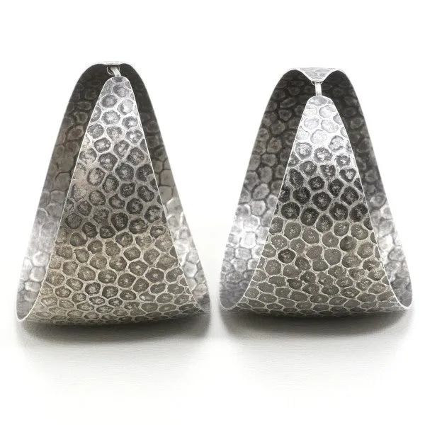Bottega Veneta Silver Earrings