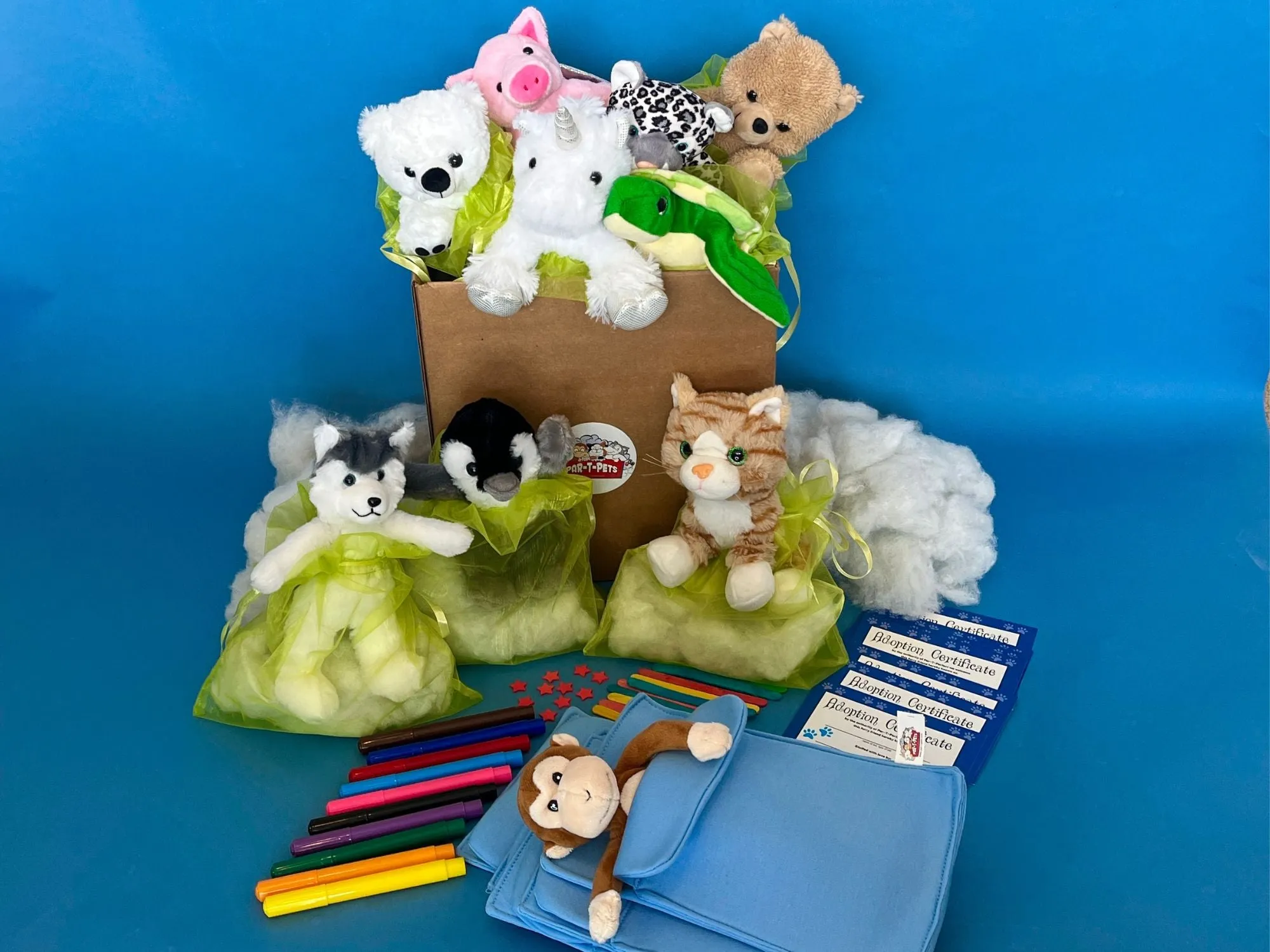 INDIVIDUAL PACKED 10 PAR-T-PAK SLUMBER PARTY