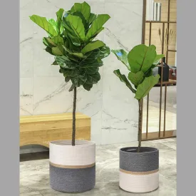 Woven Rope Plant & Storage Basket